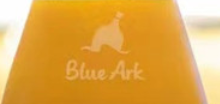 连锁精酿酒馆Blue Ark完成数百万元天使轮融资-welcome海洋之神网
