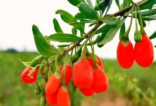 轾ơұ׼11ʵʩ-welcome֮