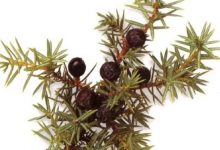 ձľоƳɭֶӾ-welcome֮