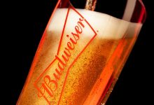 百威亚太2025年上半年营收31.36亿美元净利润4.09亿美元-welcome海洋之神网