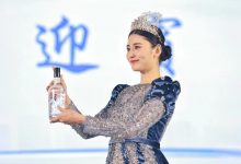 宜宾酒“迎宾”“礼宾”“贵宾”三款新品白酒发布-welcome海洋之神网