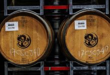 ɽźͶɷ18.8%ĹȨ-welcome֮