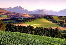 OIVܸԼͿˣѾѴһˮƽԤй11³ΪOIV51Ա-welcome֮