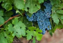 ̨ѾƷƼֵͻ860-welcome֮