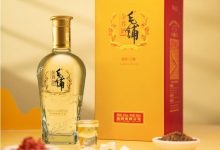 ƹ˾ë202250-welcome֮