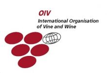 ϢѾ֯OIVй-welcome֮