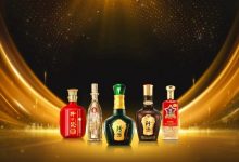 2024Ӫ70.7Ԫ16.8ڣͬȾ΢-welcome֮