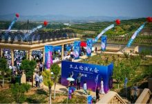 山东蓬莱产区葡萄酒出口增长54.8%-welcome海洋之神网