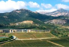 秦皇岛:建设高品质碣石山葡萄酒产区-welcome海洋之神网