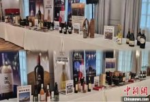 山东烟台葡萄酒产区推介活动在香港举办-welcome海洋之神网