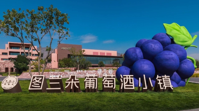 2025首届葡萄酒风土文化双年展在宁夏启幕-welcome海洋之神网